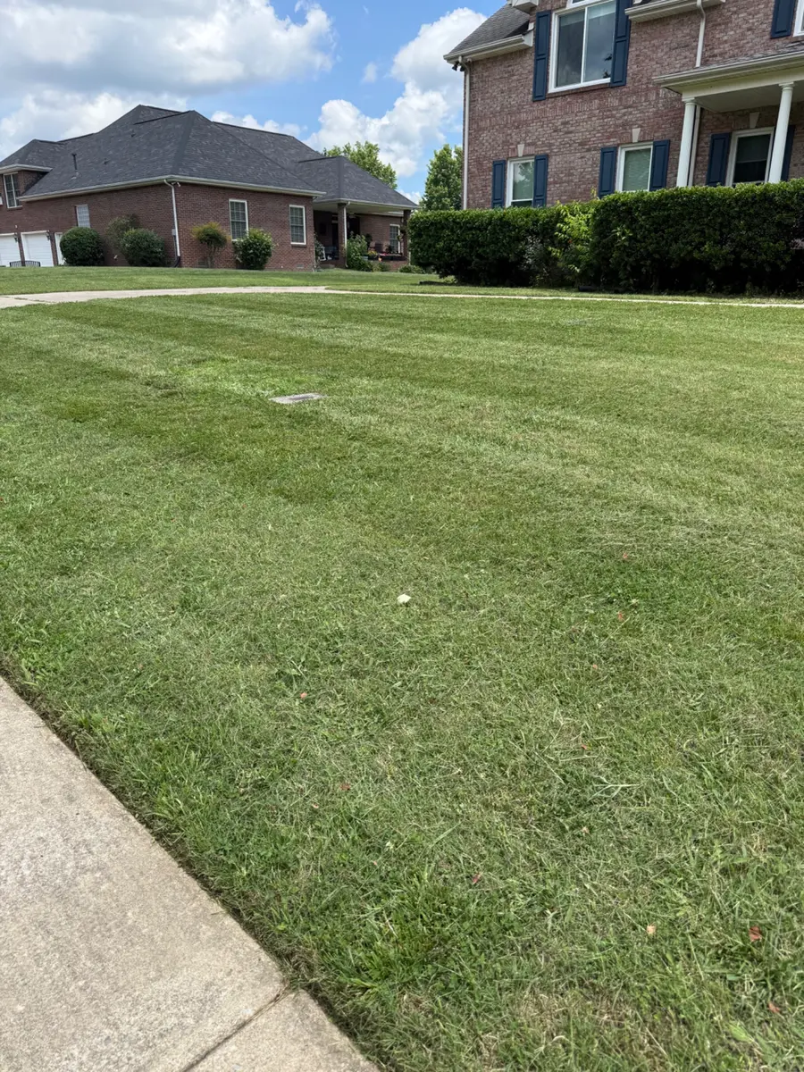 Professional striped lawn maintained by T&C Lawn Care in the Clarksville Tennessee area
