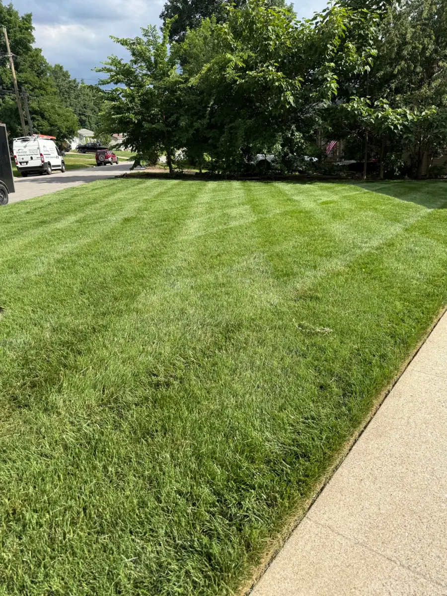 Detailed lawn mowing by T&C