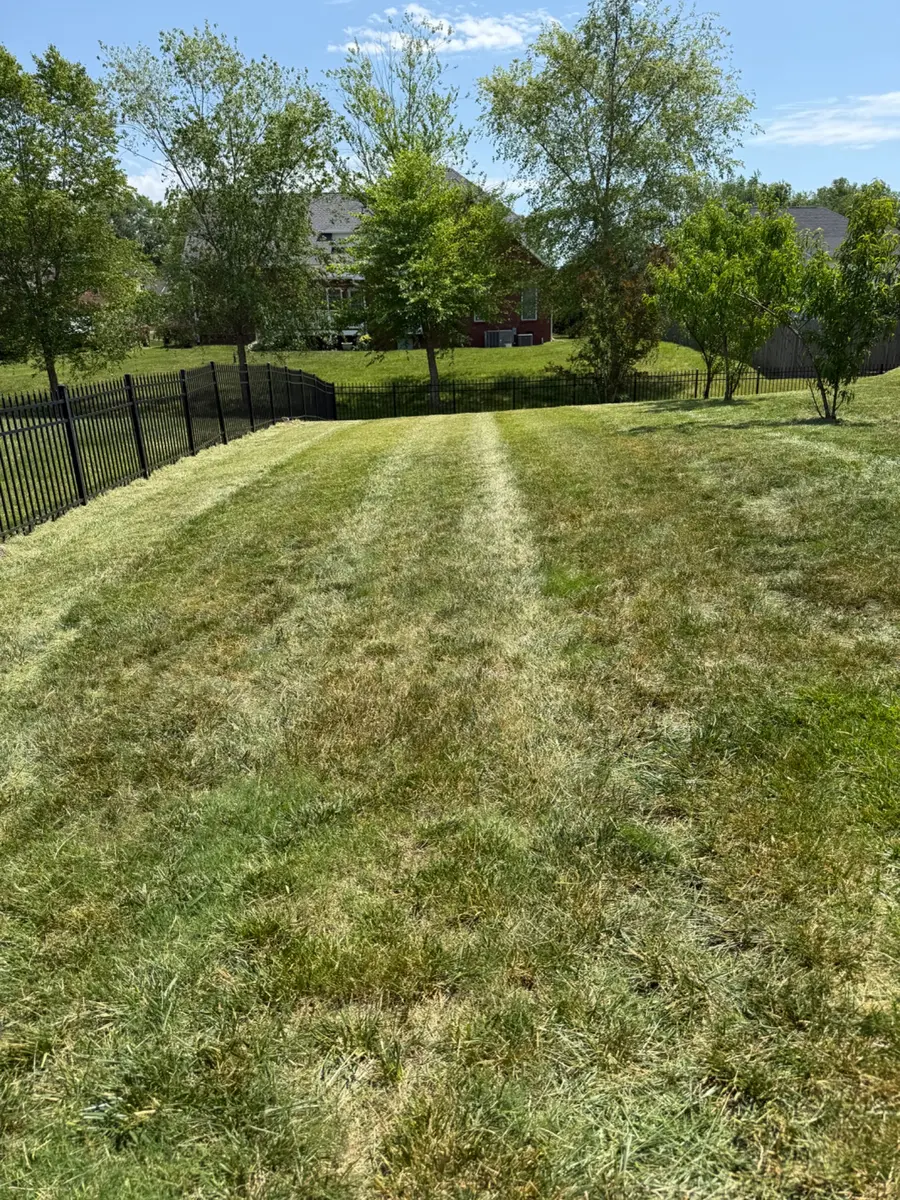 Professional striped lawn maintained by T&C Lawn Care in the Clarksville Tennessee area